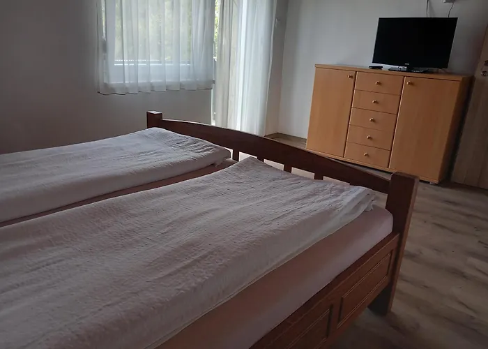 7 Ferohelyes Haz A Totol 15 M-re Sajat Steggel Es Csonakkal Balatonfenyvesen Balatonfenyves